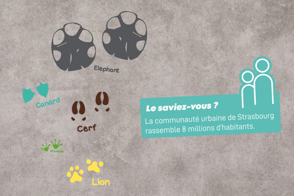 Exemple stickers de sol culture culture